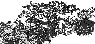 Dragonfly Ranch Healing Arts Center