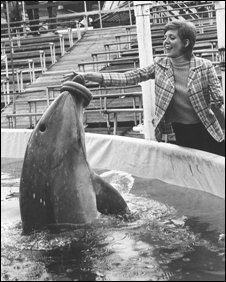 Dolphin and Cilla (BBC)