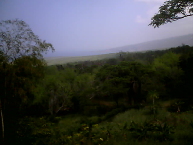 kealakekua bay webcam